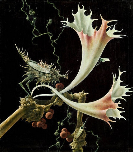 Franz Sedlacek ~ Flowers and Insects Nr. 2