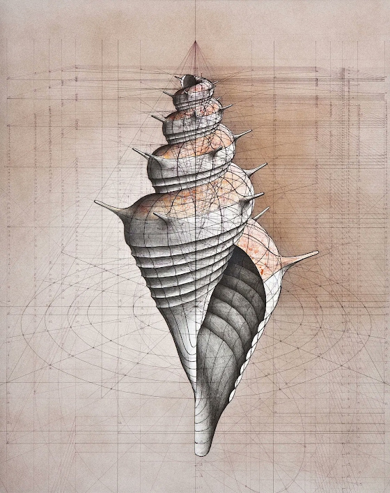 Rafael Araujo ~ Golden Ratio / Shell