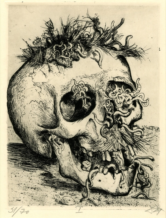 Otto Dix ~ Skull
