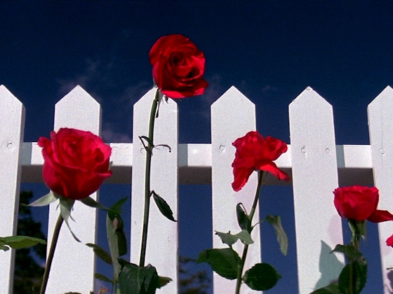 Blue Velvet