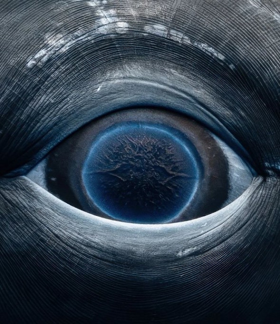 Rachel Moore ~ Galaxies in Her Eyes