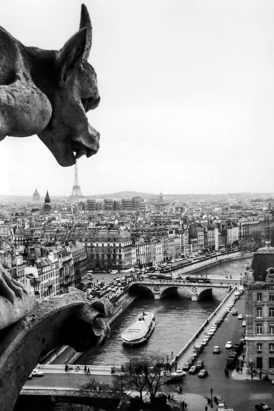 Robert Doisneau ~ La Gargouille de Notre Dame, Paris