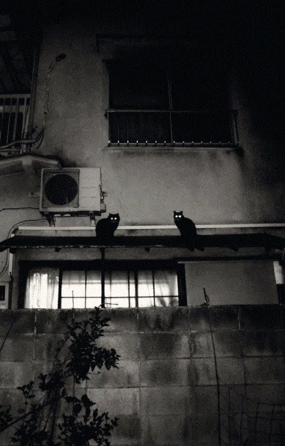 Todd Hido ~ Night, Shibuya, Tokyo