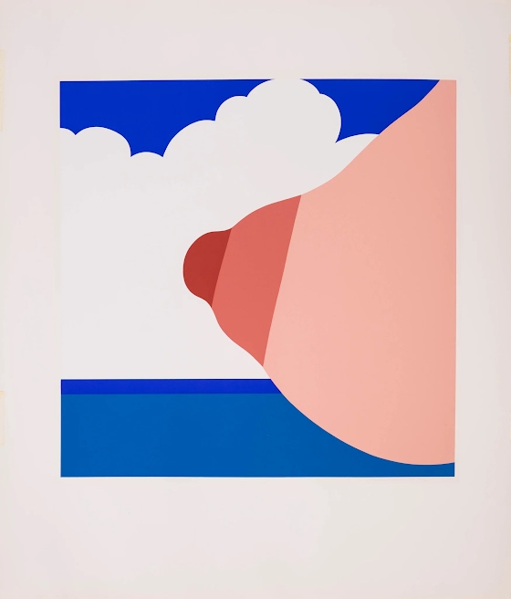 Tom Wesselmann ~ Seascape (Tit)