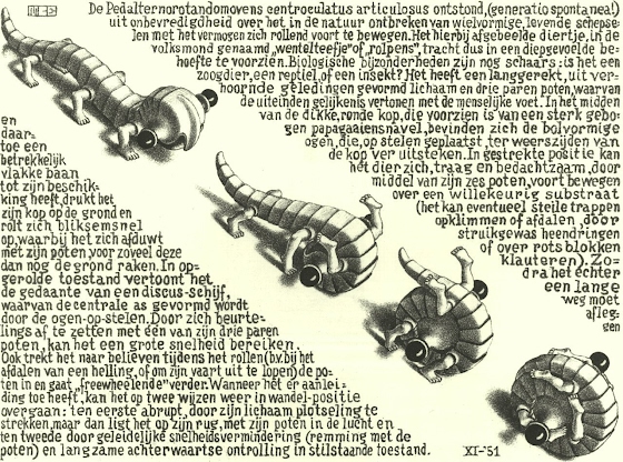 M. C. Escher ~ Curl-up