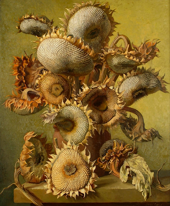 Gerald Cooper ~ Still Life of Dead Sunflowers