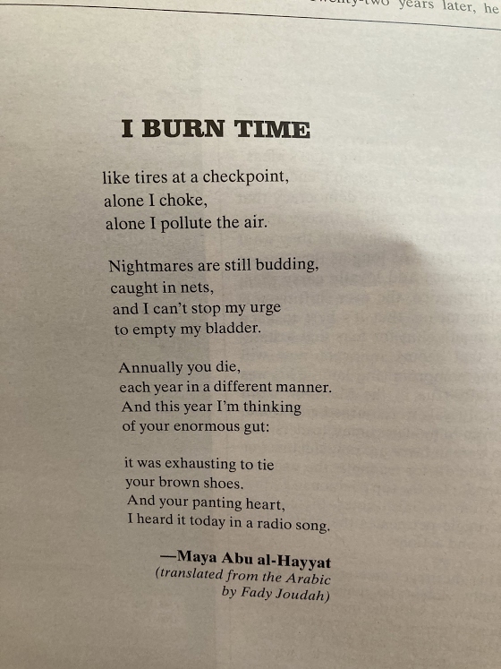 Maya Abu al-Hayyat ~ I Burn Time