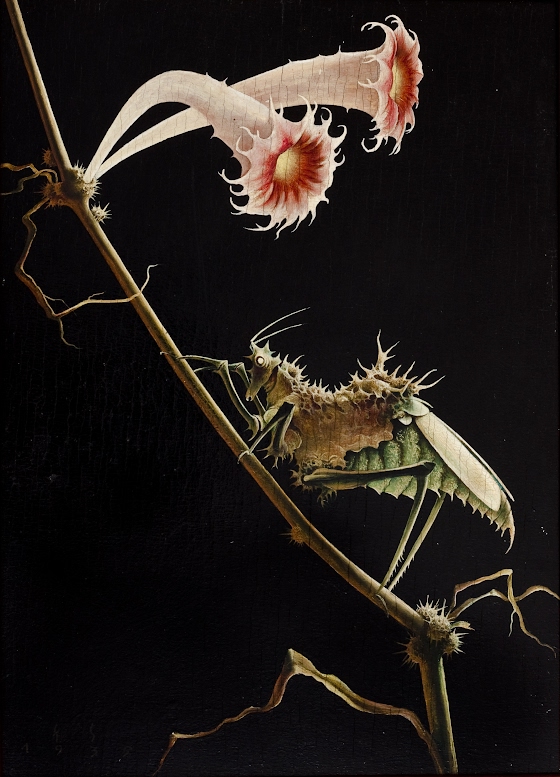 Franz Sedlacek ~ Flowers and Insects Nr. 1