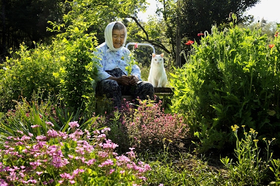 Miyoko Ihara