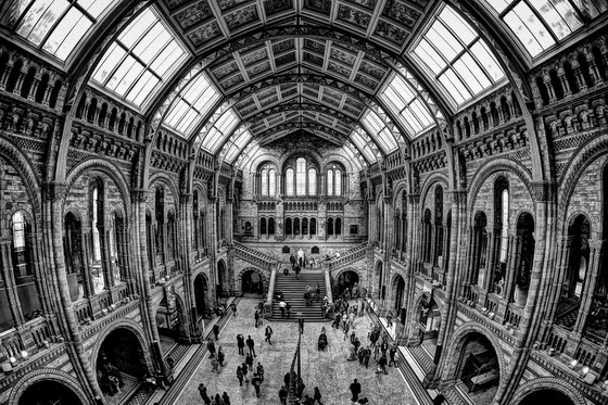 Hintze Hall, Natural History Museum