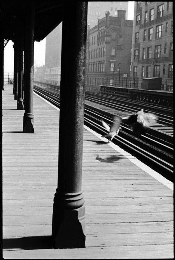 Leonard Freed ~ NYC