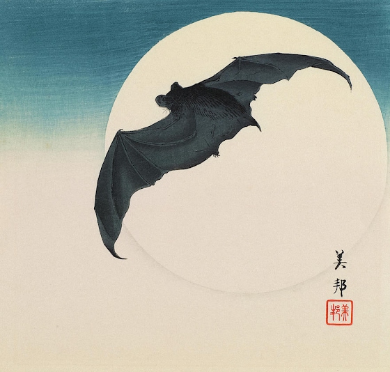 Biho Takashi ~ Bat in Moon