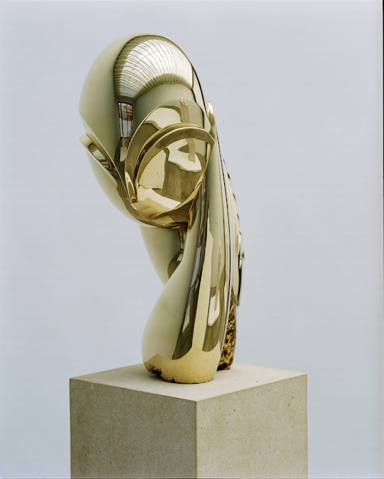 Constantin Brâncuși ~ Mademoiselle Pogany III